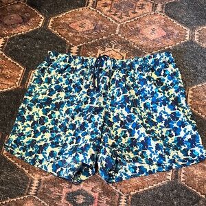 Columbia Blue and Green Athletic Shorts